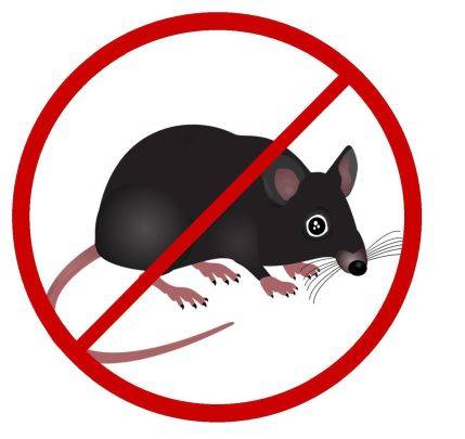 ve středu 5. listopadu 2025 proběhne v naší obci plošná deratizace zaměřená na potkany a další škodlivé hlodavce. Prosíme vás, abyste zvýšili dohled nad svými domácími mazlíčky a zabránili jim v konzumaci uhynulých nebo potenciálně otrávených hlodavců. Děkujeme za vaši spolupráci a pochopení.