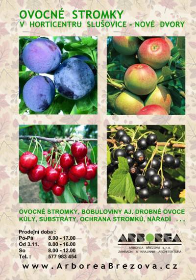 www.arboreabrezova.cz