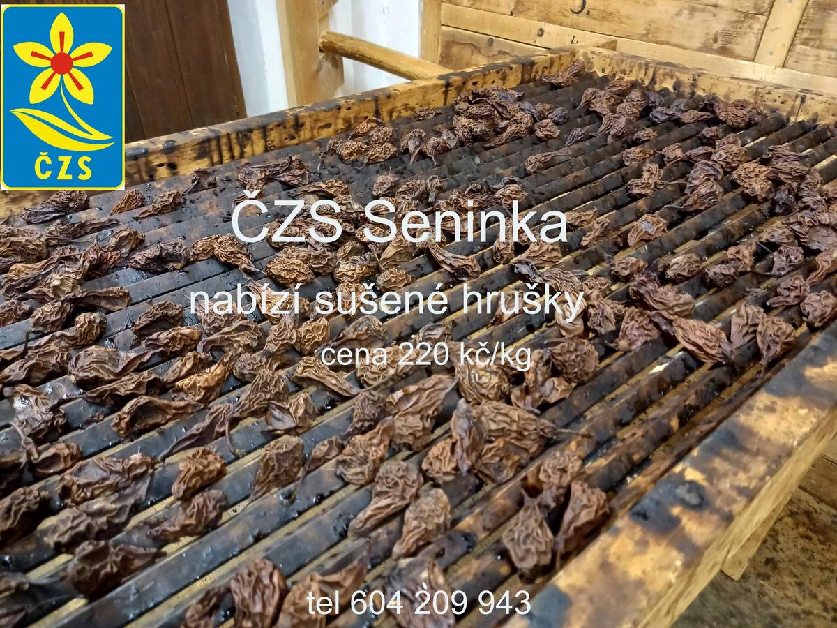 Český zahradkářský svaz nabízí sušené hrušky v ceně 220Kč/kg. V případě zájmu volejte na tel.: 604 209 943.