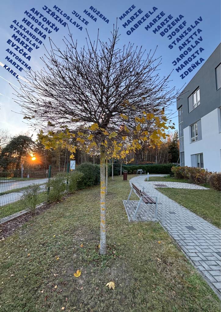 Slova, smích i doteky – to všechno zůstává v našich srdcích, i když lidé, které jsme milovali, už nejsou mezi námi. V čase ticha si je připomínáme s vděčností a láskou. Děkujeme za každý den, který jsme spolu mohli prožít.