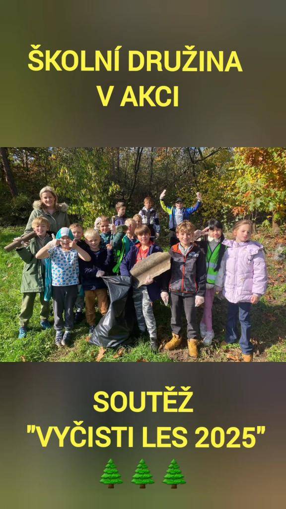 Sběr a třídění odpadu