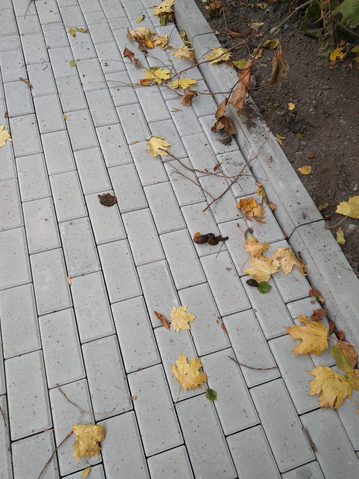 Vážení občané, žádáme Vás o dodržování Obecně závazné vyhlášky obce Kojetice, kterou se stanovují pravidla pro pohyb psů na veřejném prostranství v obci Kojetice. Upozorňujeme i na na čl. 1 bod c): chovatelé a vlastníci psů jsou povinni neprodleně odstranit exkrementy způsobené psem na veřejném prostranství. Je tedy povinností každého majitele psa nebo toho, kdo psa venčí, psí výkaly odstranit a vyhodit do košů na psí exkrementy, případně lze výkaly vyhodit i do košů na směsný odpad.