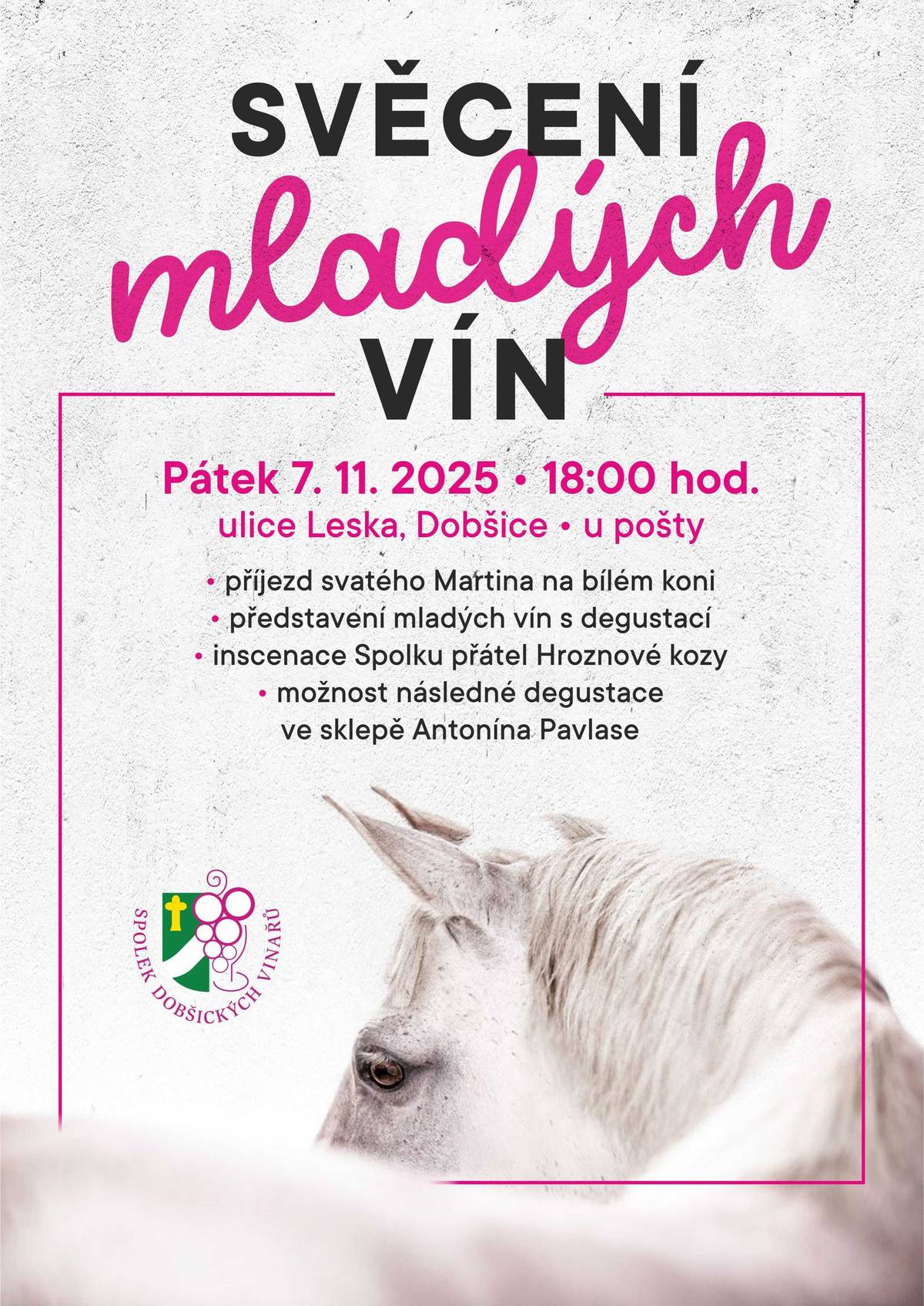 Srdečně zvou dobšičtí vinaři!