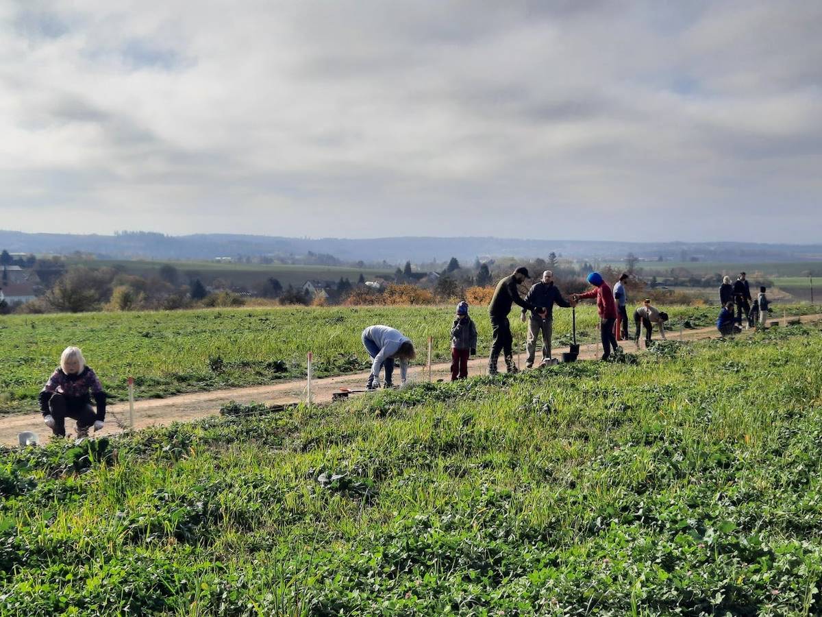 ze sobotní brigády