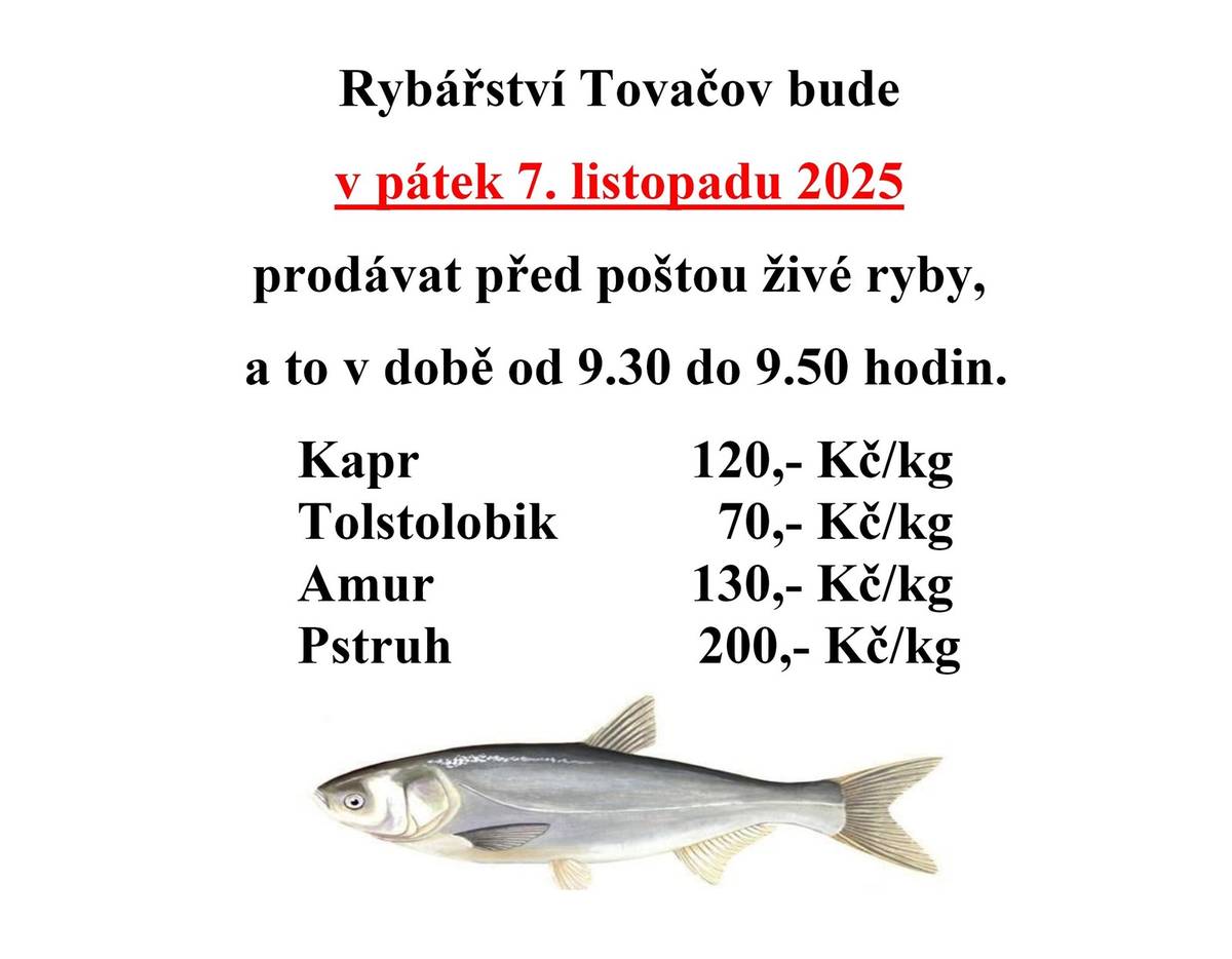 Rybářství Tovačov bude v pátek 7.11.2025 prodávat před poštou živé ryby v době od 9.30.- 9.50 hodin. Kapr 120 Kč, pstruh 200 Kč, amur 130 Kč, tolstolobik 70 Kč vše za kilogram.