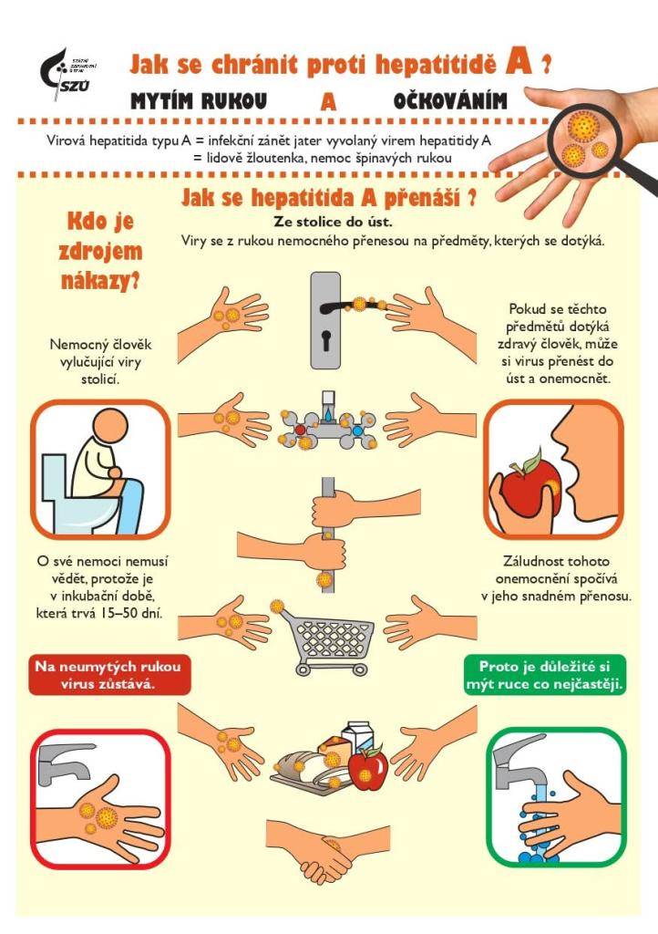Vzhledem ke zvýšenému výskytu žloutenky typu A ve Středočeském kraji připomíná Krajská hygienická stanice Středočeského kraje zásady účinné prevence - důsledné mytí rukou a očkování, které zajistí doživotní imunitu.