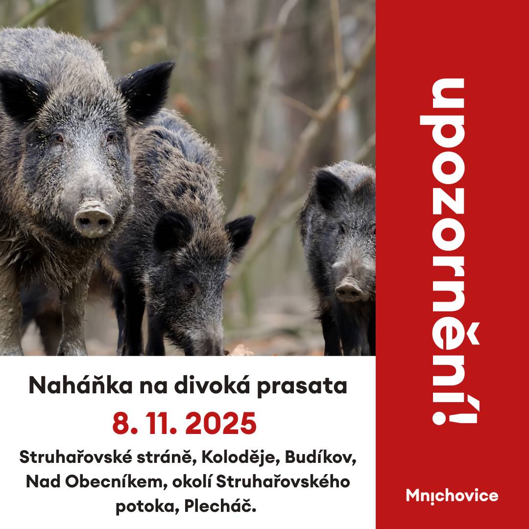 Myslivecký spolek Mnichovice informuje: V SOBOTU 8.11. OD 8 DO 15 HODIN se koná naháňka na divoká prasata. Leče zasáhnou oblasti: Struhařovské stráně, Koloděje, Budíkov, Nad Obecníkem, okolí Struhařovského potoka, Plecháč. Prosíme nevstupujte, omezte i vycházky se psy v předcházejících dnech, aby nedošlo k vytlačení černé zvěře z oblasti. Děkujeme.