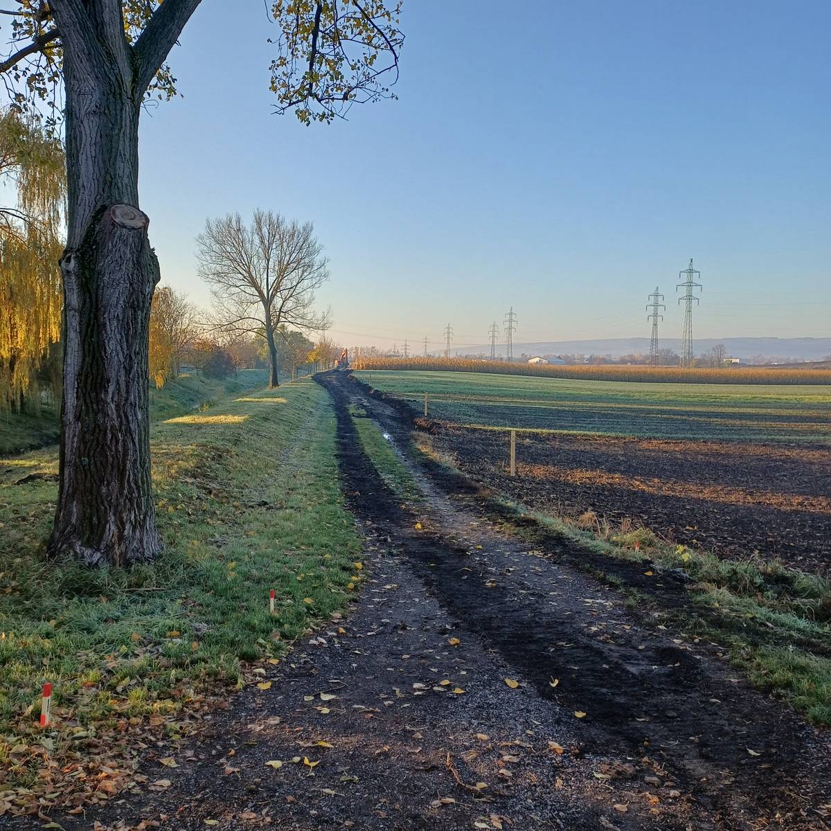 V následujícících měsících bude probíhat stavba polní cesty C61 od rybníčka po sokolovnu. Prosíme občany, aby na stavbu nevjížděli ani nevcházeli po dobu realizace. Stavbu má v gesci Státní pozemkový úřad na základě komplexních pozemkových úprav.