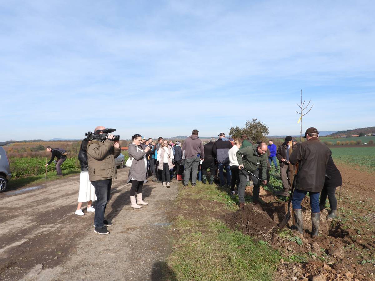 Dne 31.10 . se zástupci naší obce zúčastnili oslav 70 let CHKO Český ráj. Symbolicky bylo vysazeno 70 stromů za všechny obce, hospodáře a firmy z regionu, kde CHKO působí.Za obec Kněžnice byla vysazena hrušeň číslo 26.Po zasazení stromu se oslava přesunula k zámu Humprecht. Slavnostně promluvil Ing. Lukáš Bílek - vedoucí správy CHKO a hrabě Tomáš Czernin - senátor za obvod Jičín.počet obrázků 7
