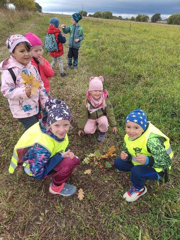 Projektový den v MŠ – zvířátka v lese, zaměřen na poznávání lesních zvířat a na chování lidí v lese.