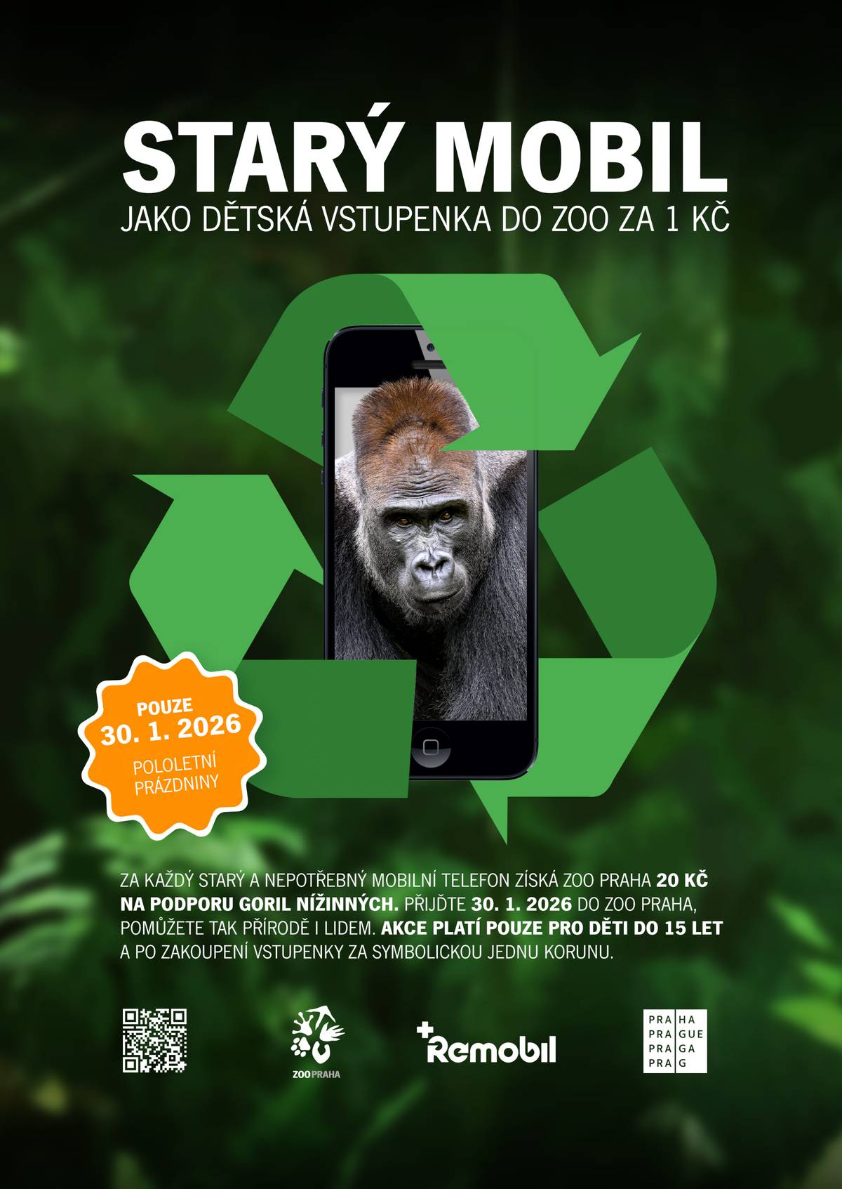 Přineste v pátek 30. ledna na pololetní prázdniny svůj starý vyřazený telefon do Zoo Praha. Získáte dětskou vstupenku za symbolickou 1 Kč a podpoříte kriticky ohrožený druh goril nížinných. O bezpečnou a ekologickou recyklaci vašeho zařízení se postará neziskový spolek Remobil. Podmínky akce: ● Na pokladně stačí ukázat starý telefon, a můžete si rovnou koupit dětskou vstupenku za 1 Kč. Tu mohou využít děti do 15 let pouze 30. ledna v Zoo Praha. ● Vaše zařízení následně vhodíte do sběrné nádoby umístěné u každého vchodu. ● Za každý vybraný telefon získá Zoo Praha od společností Remobil 10 Kč a dalších 10 Kč od společnosti Asekol, které půjdou na sbírkové konto „Pomáháme jim přežít“.