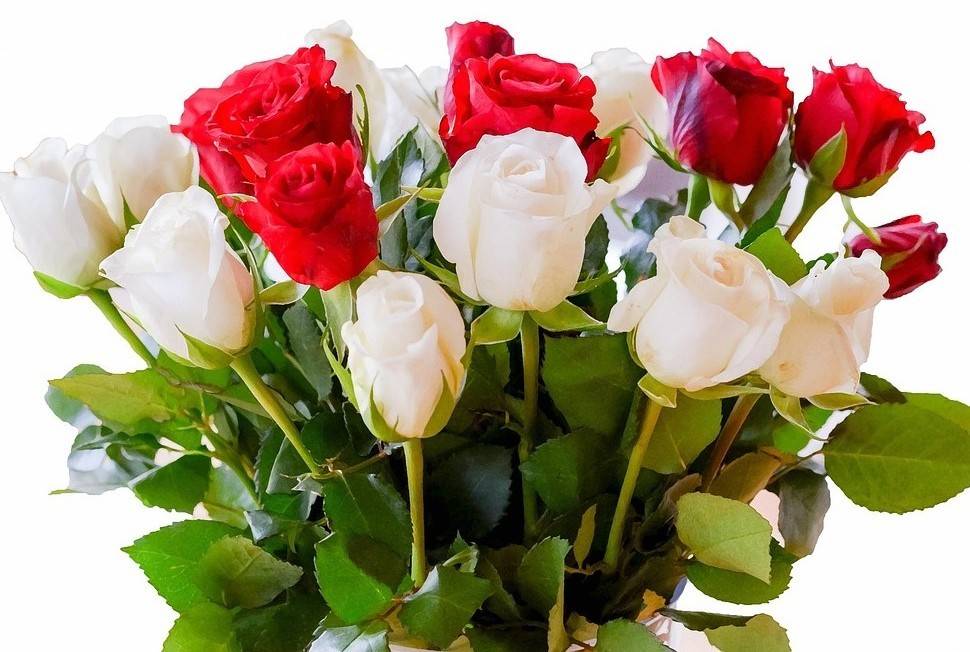 Nabízíme možnost zveřejnit ve Zbůšském zpravodaji zdarma krátká společenská oznámení. Čtěte dále...