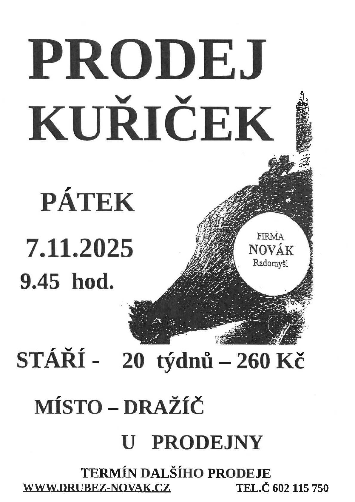 Prodej kuřiček v pátek 7. 11. 2025 od 9:45, stáří 20 týdnů za 260 Kč.