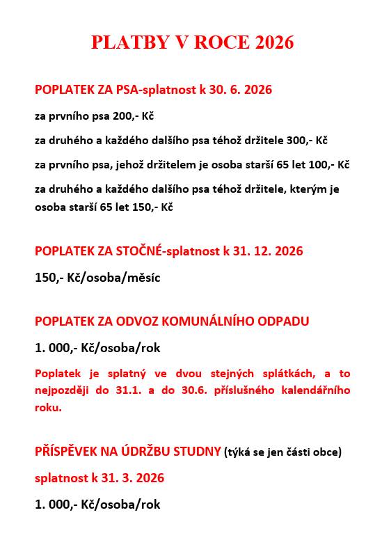 Platby v roce 2026