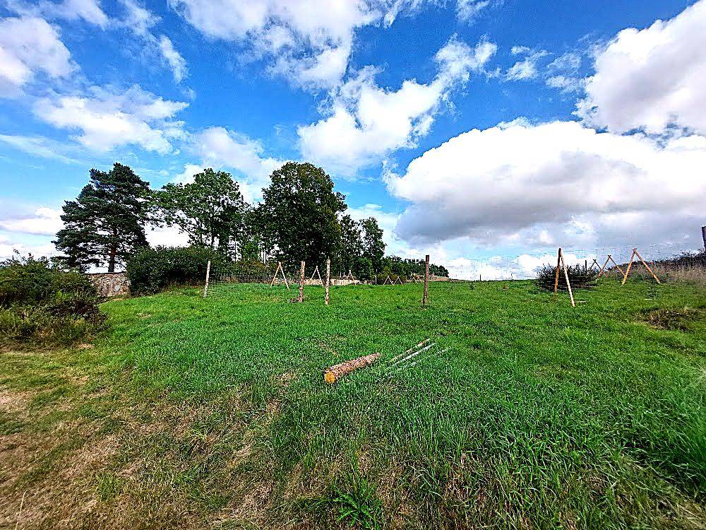 V neděli 9. listopadu od 10:00 se sejdeme u židovského hřbitova v Telicích a společně vysadíme nový třešňový sad.