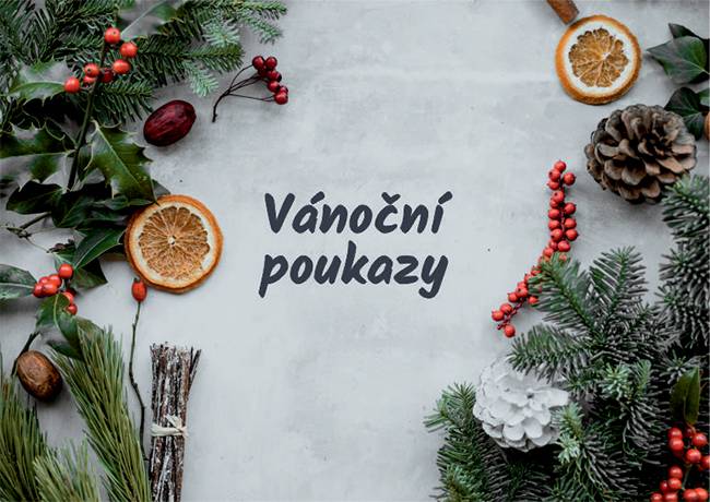 Na obecním úřadě je možné zakoupit vánoční poukazy (v různých hodnotách)na masérské a kosmetické služby paní Budínové, která má salón vedle obecního obchůdku.