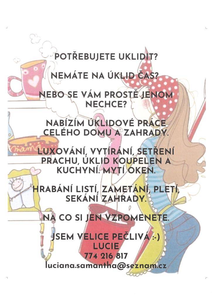 Potřebujete úklid, ale nemáte na něj čas nebo vás to nebaví?  Nabízím komplexní úklidové služby pro váš domov a zahradu. Od luxování a vytírání, až po hrabání listí a sekání zahrady.