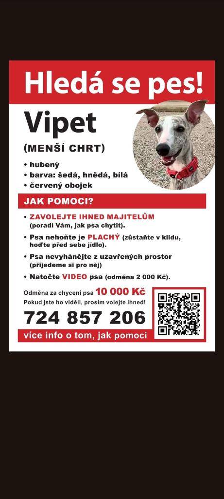 Pes je hubený, má šedou, hnědou a bílou barvu a nosí červený obojek. Je plachý, proto doporučujeme zůstat v klidu a před psa hodit jídlo. Pokud jste ho viděli, prosím kontaktujte ihned majitele na číslo 724 857 206.