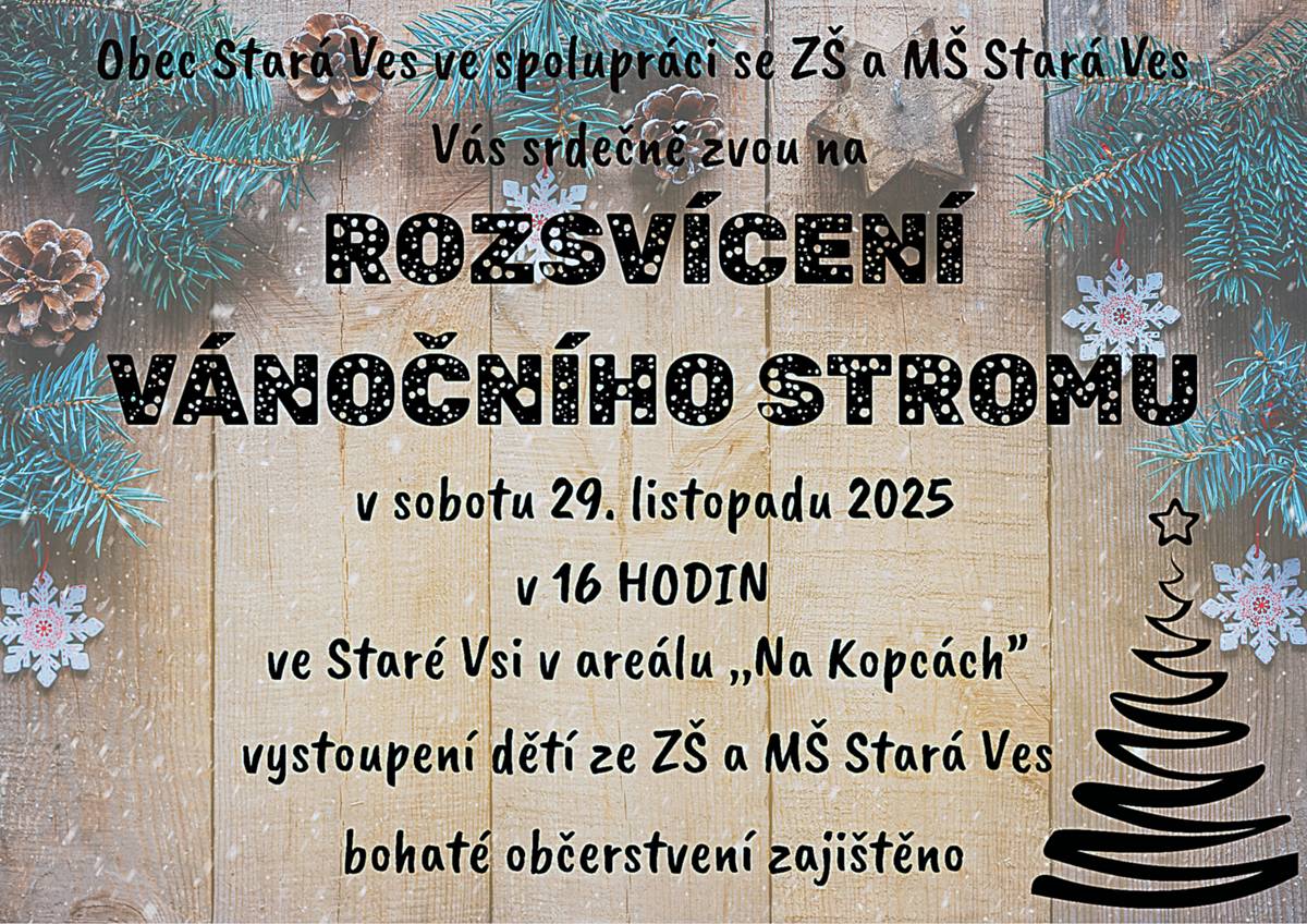 🎄ROZSVÍCENÍ VÁNOČNÍHO STROMU 🎄