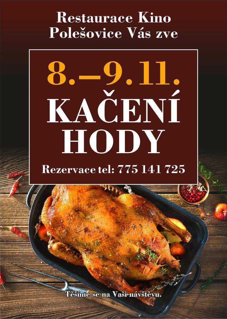 pan Synek, pan Křapa, kačení hody v kině