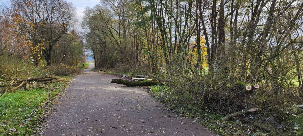 Vážení občané, rád bych poděkoval všem zúčastněným za účast na akci prořezu zeleně, která se uskutečnila v sobotu 1. listopadu 2025. Vaše nasazení, ochota a aktivní zapojení přispěly k úspěšnému průběhu této důležité činnosti pro naši obec. Díky Vám bylo možné bezpečně a efektivně odstranit přebytečnou zeleň, která by mohla představovat potenciální riziko. Vaše spolupráce o bezpečnost obce je pro mne nesmírně cenná. Těším se na další společné setkání a děkuji Vám za podporu a úsilí. Petr Nesládek, starosta obce