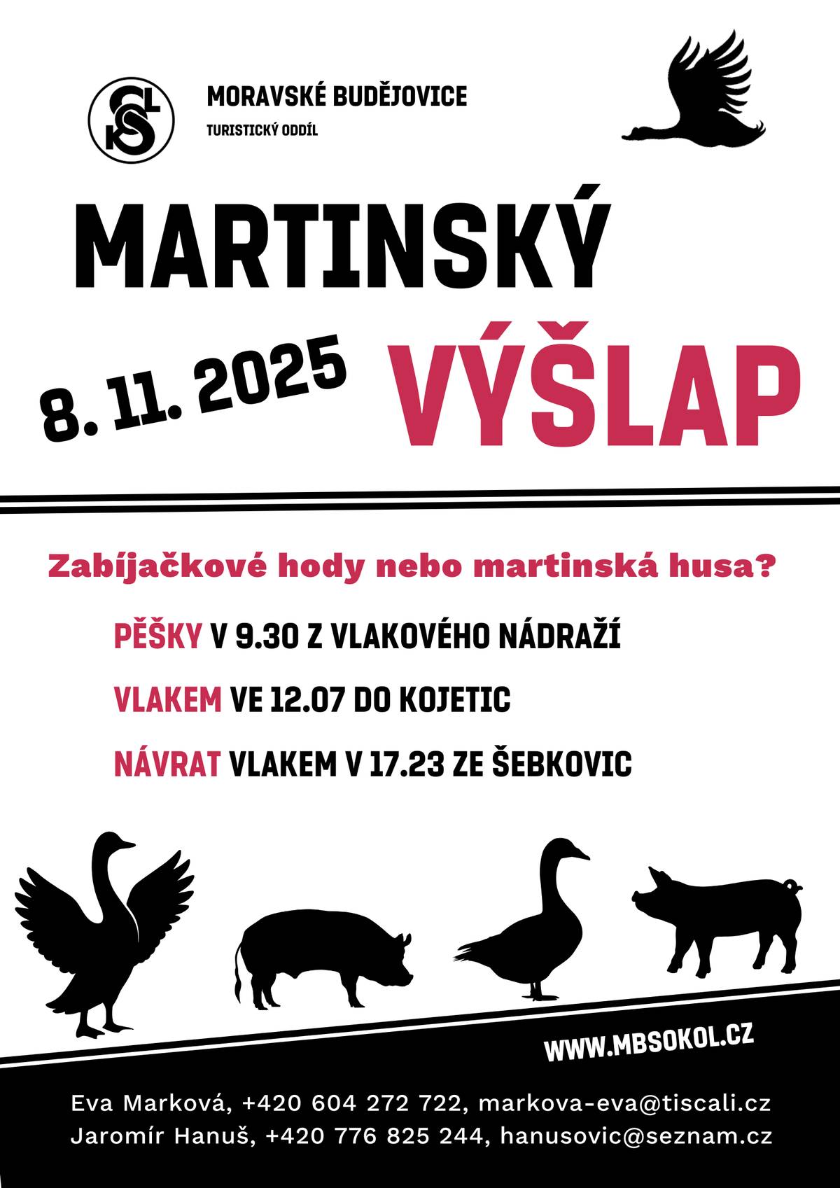 Martinský výšlap Vám dá tento rok na výběr. Zůstanete na zabíjačkových hodech v Šebkovicích nebo si dojdete na martinskou husu do Horního Újezdu? Pochod se koná v sobotu 8. 11. 2025. Sraz pro pěší účastníky bude v 9.30 na vlakovém nádraží. Ti, kteří se vydají vlakem, mají na výběr odjezd buď v 8.22, 10.22 nebo 12.07 hodin. Pro nejzdatnější turisty je zvolena trasa z Moravských Budějovic přes sv. Víta, kolem Holého kopce a Brda do Šebkovic. Celková délka trasy je 12 km. V případě zájmu je možná také kratší varianta do cíle ze ž.st. Jaroměřice nad Rokytnou v délce 6 km. Pro ty, kteří si netroufají ani na jednu z nabízených tras, je připravena tzv. oddychová verze, kdy mohou jet vlakem v 12.07 hod. přímo do Šebkovic a odsud pokračovat pěšky asi 1 km. Pro pochodníky, kteří si nedovedou představit martinský víkend bez porce pečeného husího masa, se nabízí cíl v hospodě v Horním Újezdě, kde připravují bohaté menu. Prodlouží si tím trasu o necelé 4 km. Návrat s ostatními účastníky bude rovněž vlakem buď z Kojetic nebo ze Šebkovic. Podrobnosti ohledně martinské nabídky budou zveřejněny na webu TJ Sokol v týdnu před samotnou akcí. Návrat po dobrém jídle zpět vlakem z Šebkovic je plánován v 15.23 nebo pro opozdilce dalším spojem v 17.23 hod. POZOR! Aby zájemci o svatomartinské husí speciality nebyli ochuzeni, budou mít další možnost, kdy plánujeme následný nedělní turistický „nášup“ na Hrachovec, kde bude možné husí speciality také ochutnat.  Je však potřeba předem nahlásit počet účastníků, prosíme tedy zájemce, aby se na pochod telefonicky registrovali u J. Hanuše (776 825 244) nebo u E. Markové (604 272 722).