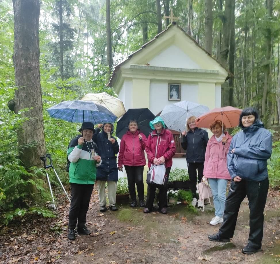 Výlet do okolí Vitějovic a Zlatého potoka.