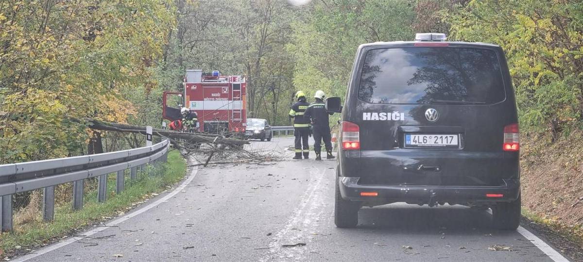 Odstranění stromu  Chříč