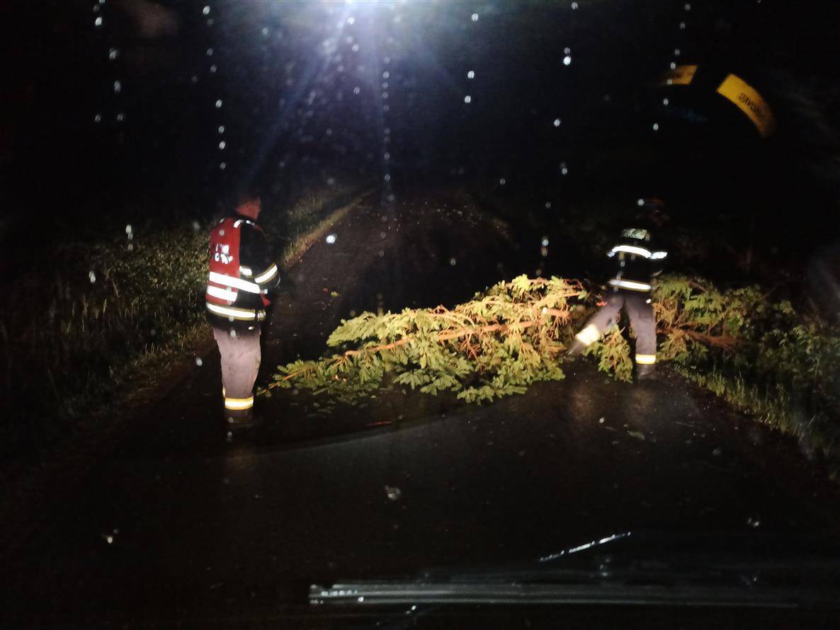 Odstranění stromu  Terešov