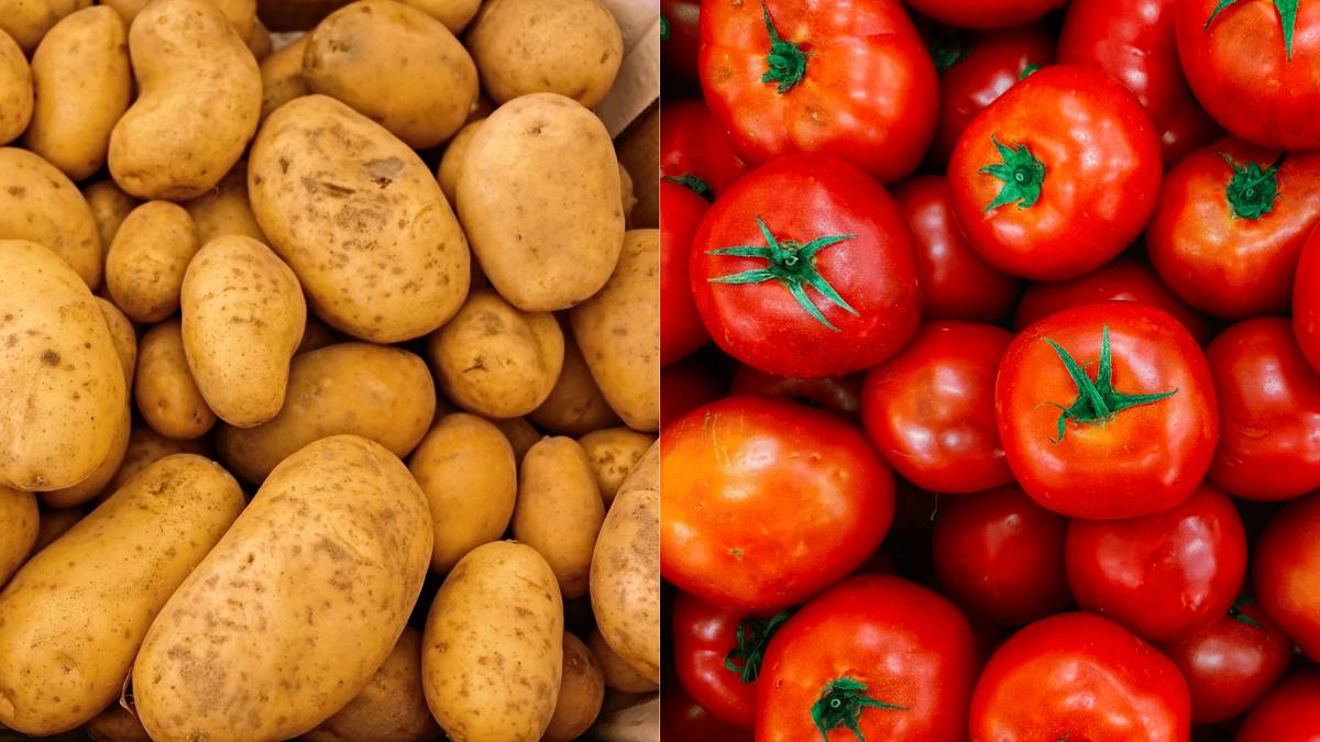 Soukromý prodejce nabízí dnes 5. 11. 2025 v čase 15:20 - 15:40 u prodejny COOP k prodeji čerstvé jahody 49,- Kč/ 0,5kg, kápie různé druhy 39,-Kč/1 kg, rajčata 39,-Kč/1kg, zimní brambory 10,-Kč/1kg, český česnek 20,-Kč/1 palička, nakládané maďarské speciality od 50,- do 120,- Kč.