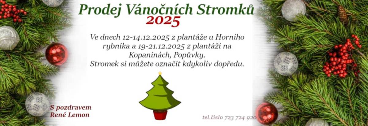 Prodej vánočních stromků