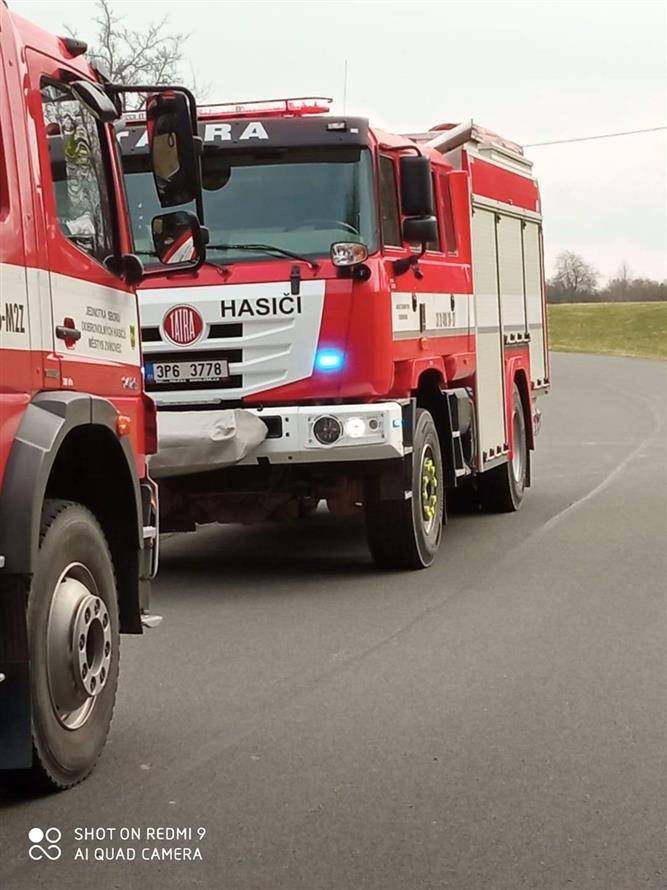 Polní porost  Terešov, Nový Dvůr