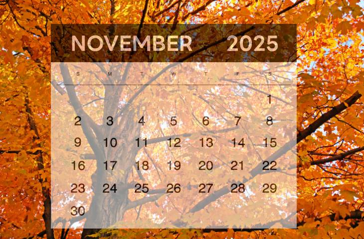 V přiloženém souboru najdete přehled plánovaných akcí pro děti na měsíc listopad. Současně lze sledovat v sekci  "kalendář akcí".