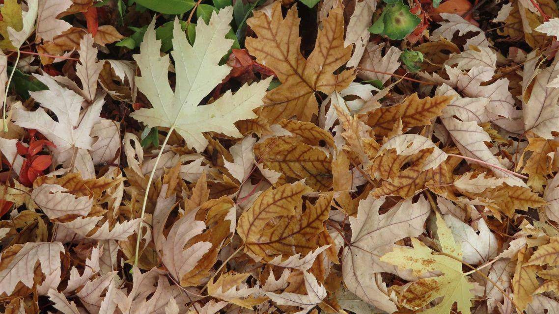 Vážení spoluobčania,