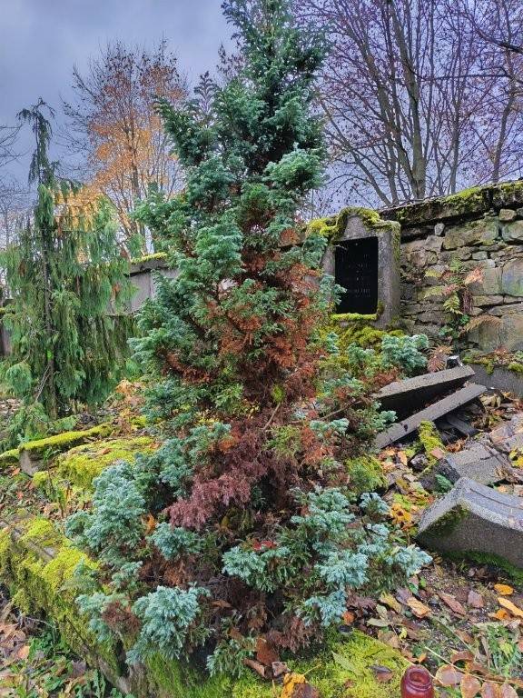 Kácení na hřbitově