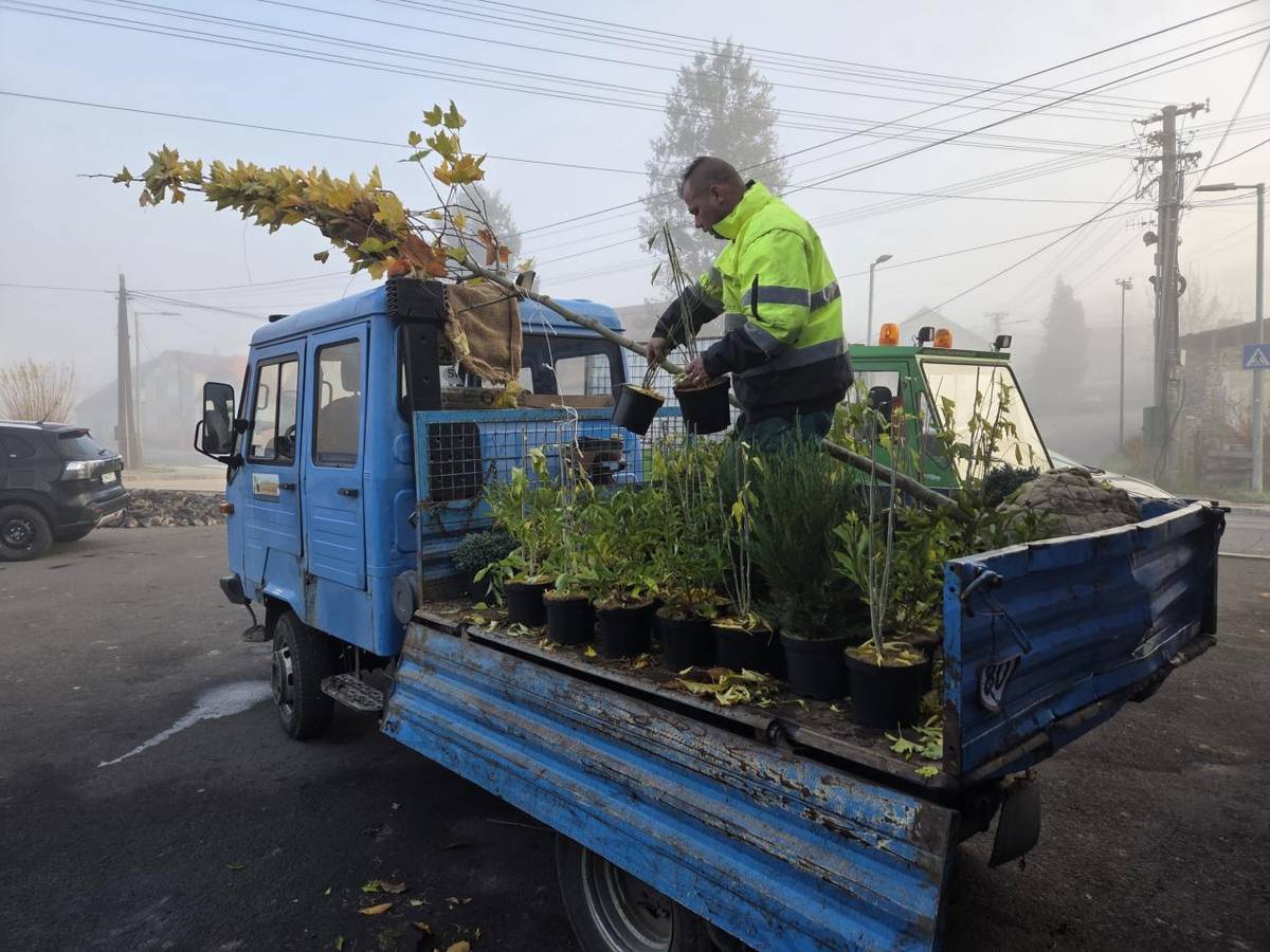 Čerstvá dodávka stromčekov a okrasných kríkov. Po výsadbe bude naša obec ešte krajšia a zelenšia.