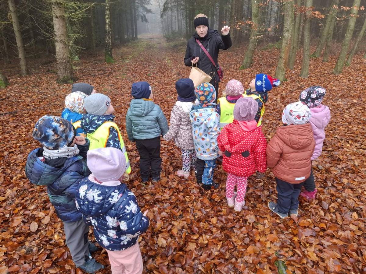 Medvěd klepe peřinu, už se chystá na zimu.