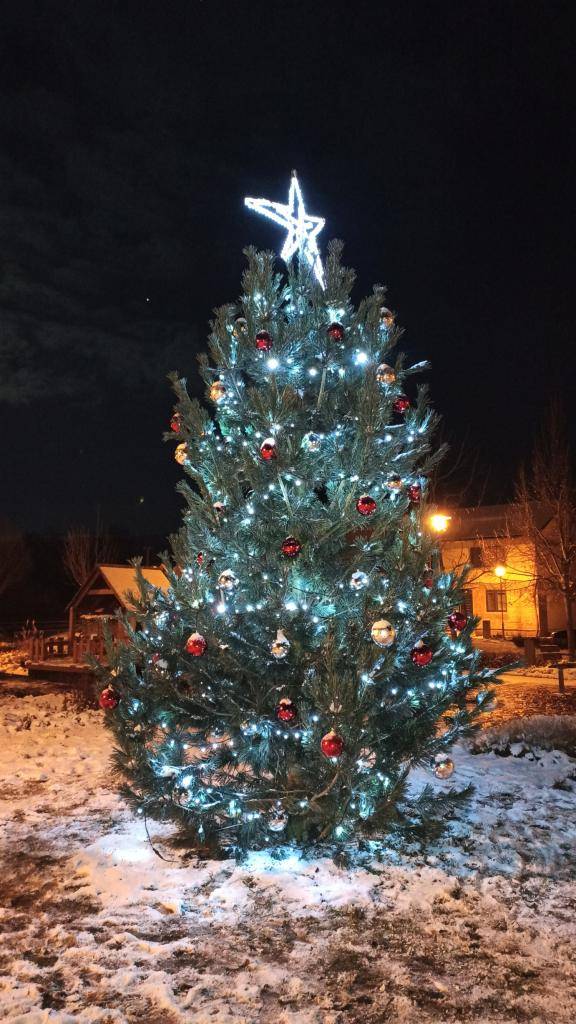 Prosíme občany, kteří by chtěli přispět k vánoční výzdobě obce a mají možnost darovat vánoční strom na střed obce, ať kontaktují pana starostu J. Masaře na tel. 724179298. Děkujeme