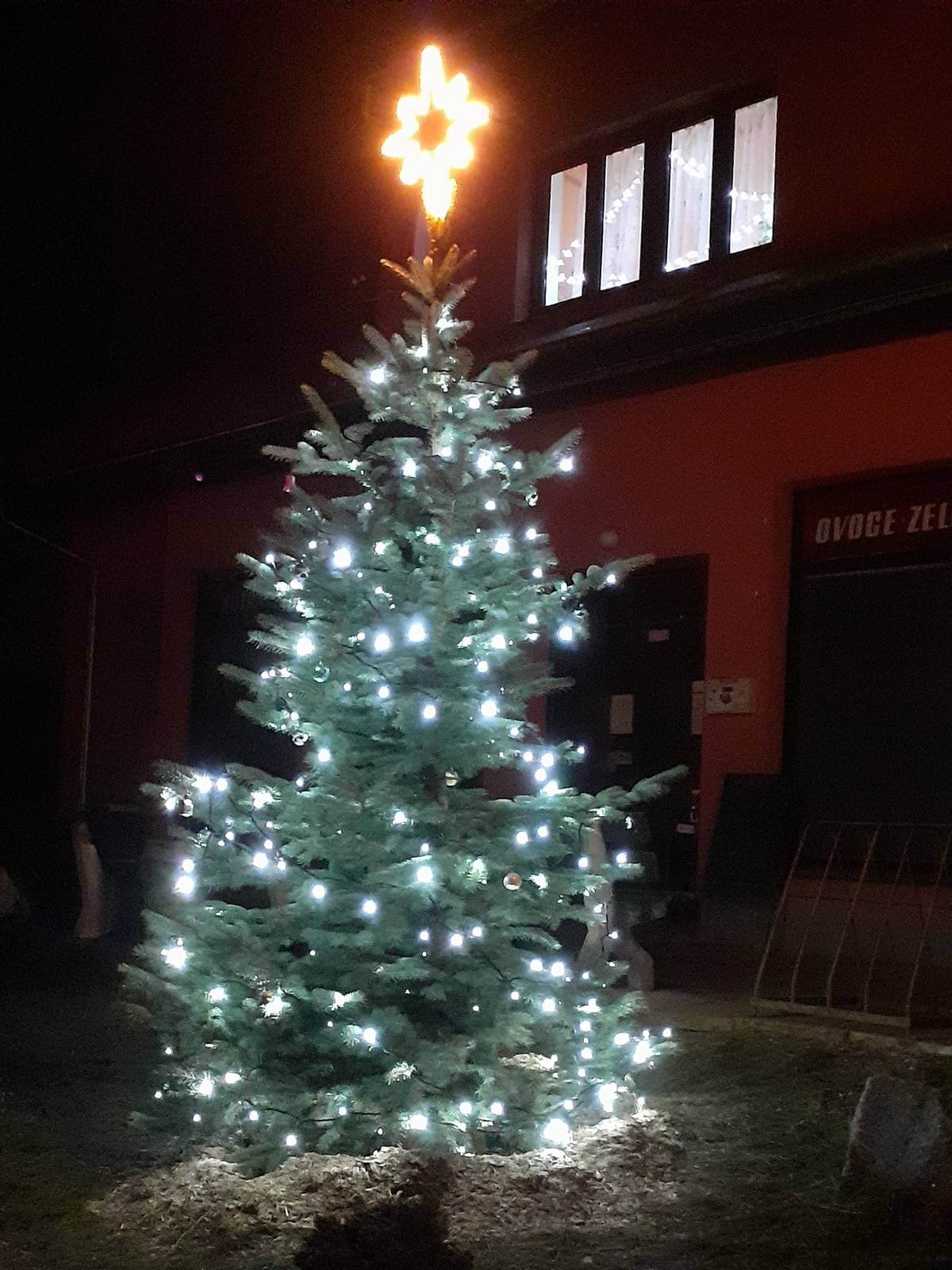 Pojďme se společně opět naladit na předvánoční čas u rozsvícení vánočního stromku před prodejnou potravin ve Skalici. Od 17 hodin si společně s dětmi z MŠ Číbuz zazpíváme koledy, ochutnáme jimi zdobené perníčky a přiťukneme si čajem či punčem. Těšíme se na vás!