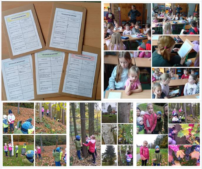 Den stromů - druhé společné projektové dopoledne ZŠ a MŠ. Tentokrát jsme si zahráli na detektivy a pátrali po stromech. Který má nejhladší kůru? Který má list větší nez naše dlaň? Který má šišku? ...