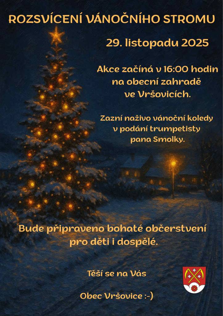 Rozsvícení vánočního stromu