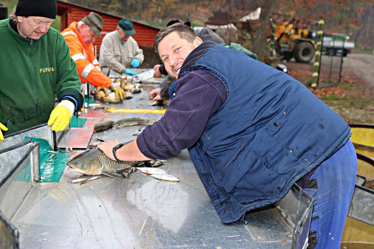 Výlov nového městského rybníka přiblížil Rokycanský deník.