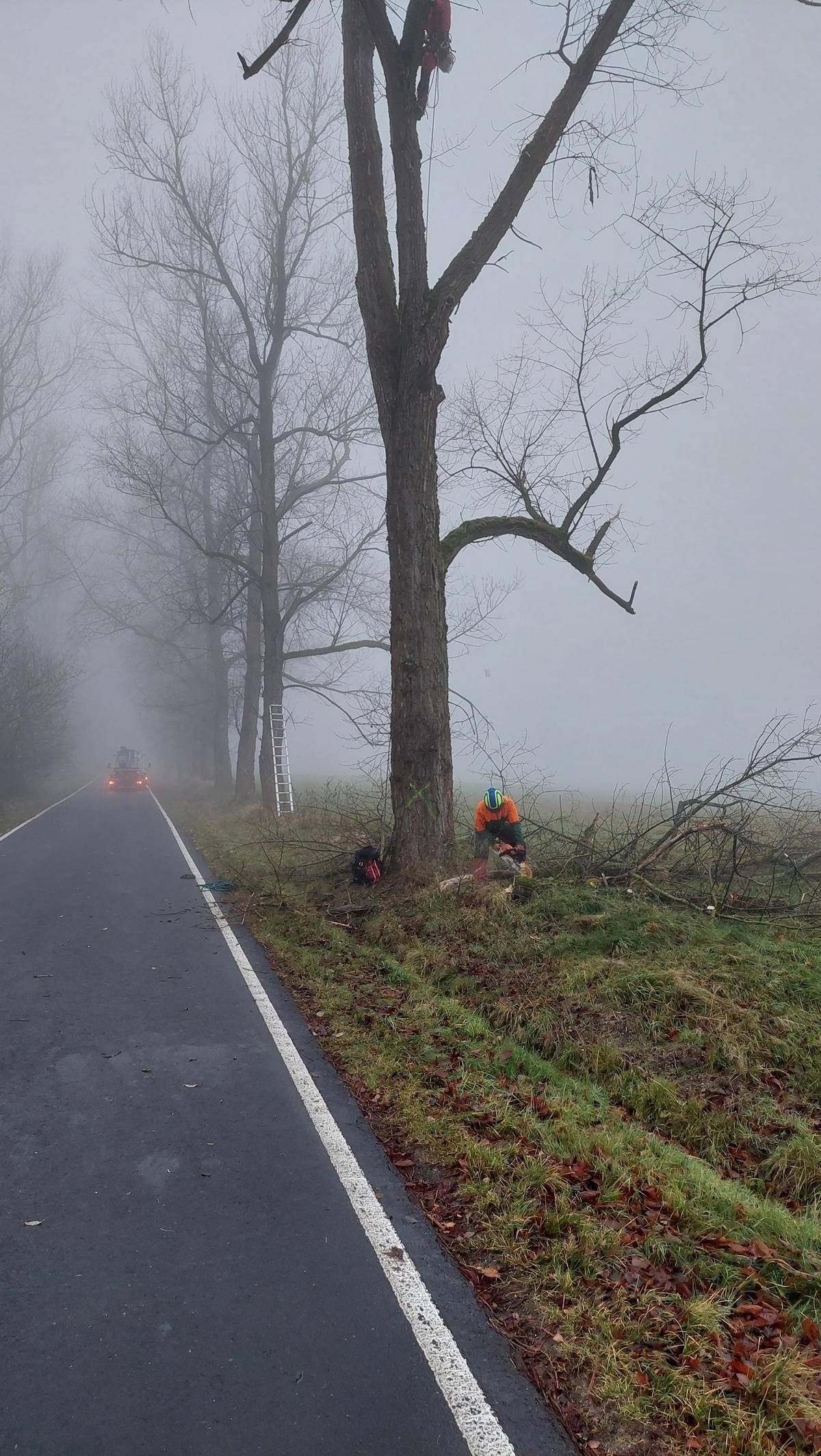 Dnes začíná kácení stromů podél silnice z Dolní Světlé do Horní Světlé . Konec kácení bude pravděpodobně ukončeno do konce týdne . Žádáme o opatrnost při projíždění .