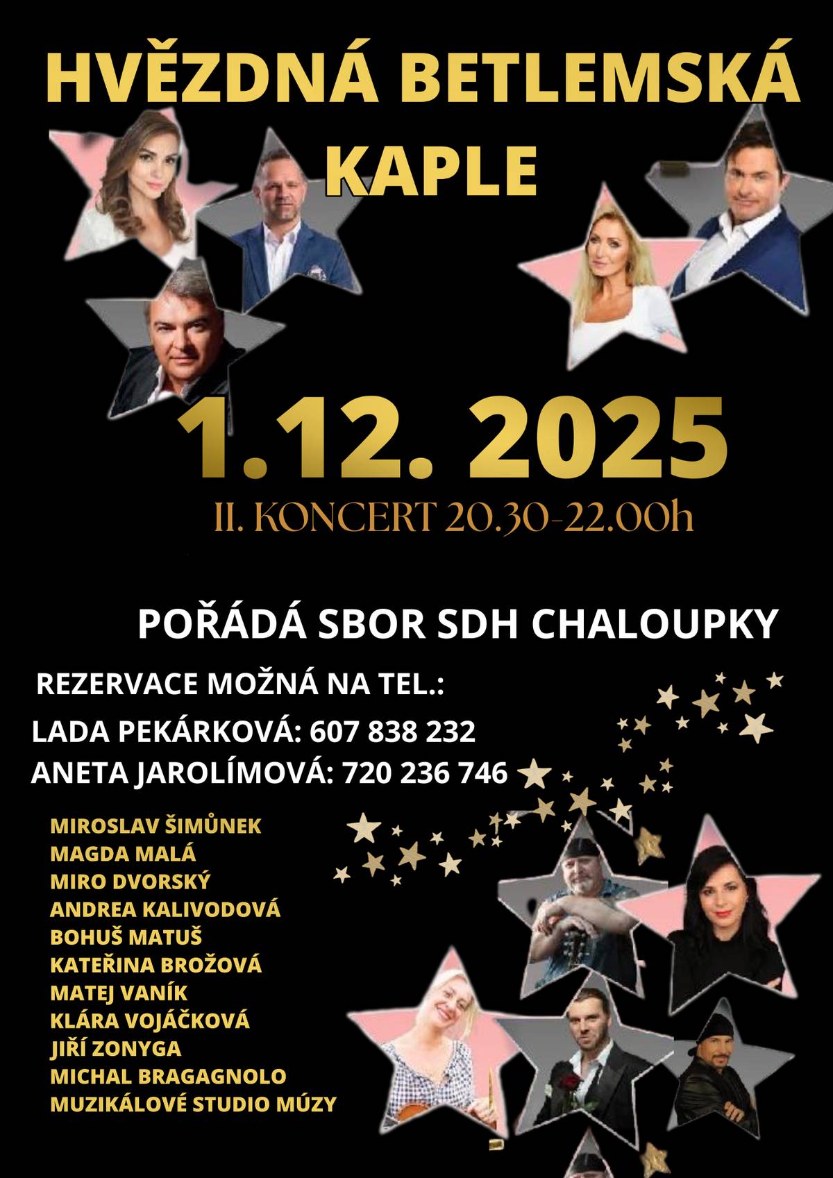 Zájezd na Vánoční koncert