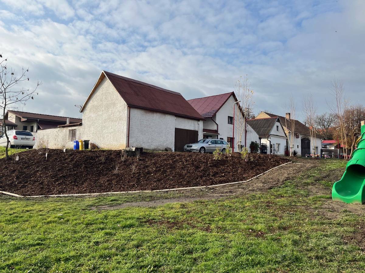 Máme radost, že se podařilo upravit další kus veřejné zeleně – tentokrát svah u hřiště. V následujících dnech budou ještě dodělány schody ze svahu a úprava tak bude dokončena. Prostor nyní nově zdobí krásně vzrostlé vícekmenné břízky v naší "relaxační zóně". Celý svah teď působí upraveně, svěže a příjemně k odpočinku i procházce. Na jaře dojde ještě k dosetí trávy v okolí, aby byla úprava kompletní a celistvá.  Těšíme se, že úpravy v této části obce budou pokračovat – v nejbližší době nás čeká plánování a příprava fitstezky, na kterou jsme získali 48 008 Kč od Nadace Via. 💚 Sledujte naše komunikační kanály, ať vám neuteče plánovací schůzka.  Děkujeme všem občanům, kteří se na plánování úprav obce podílejí. Vaše nápady dostávají hmotnou podobu! 🌼