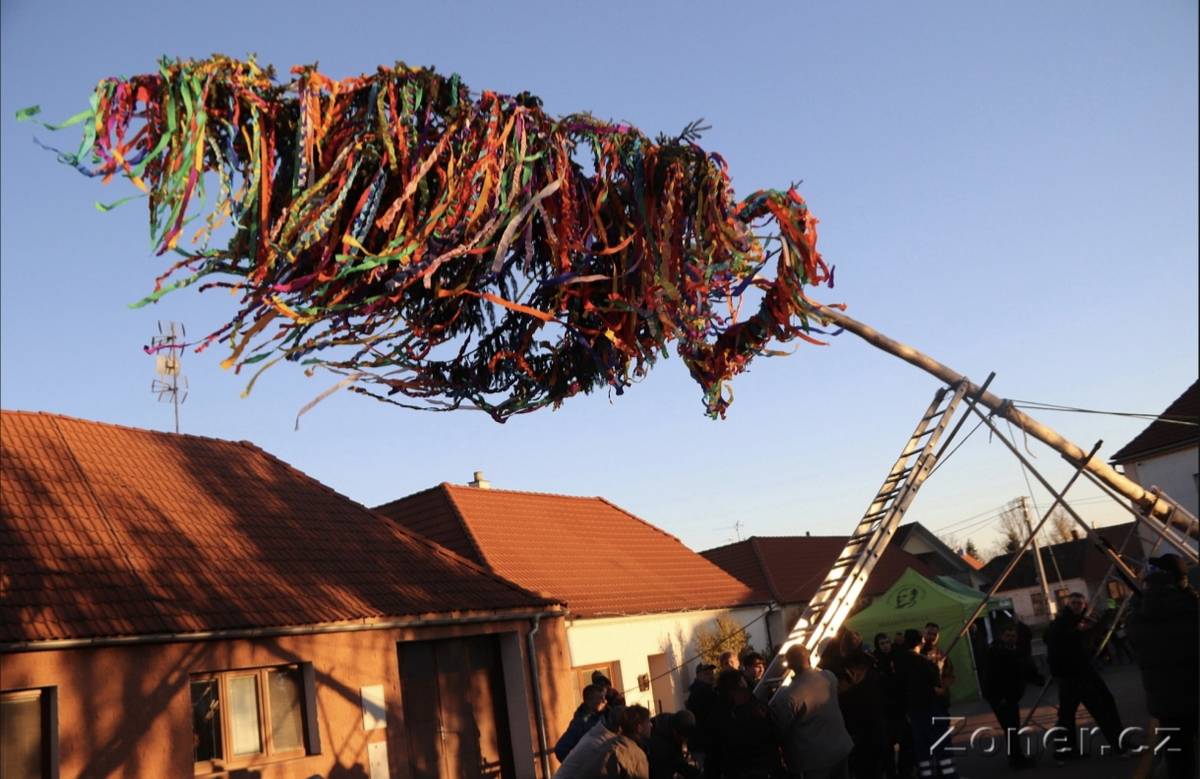 V pátek 7.11.2025 byly zahájeny v obcích Tasovice a Hodonice společné Martinské hody. Zahájení proběhlo na návsi v Tasovicích stavěním máje. Pokračovaly sobotním průvodem obcemi a večerní zábavou a zakončeny byly nedělní mší svatou. Fotografie budeme postupně přidávat.