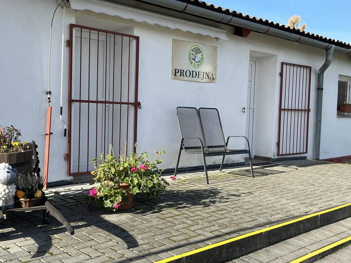 pomáhá dětem se zrakovým postižením