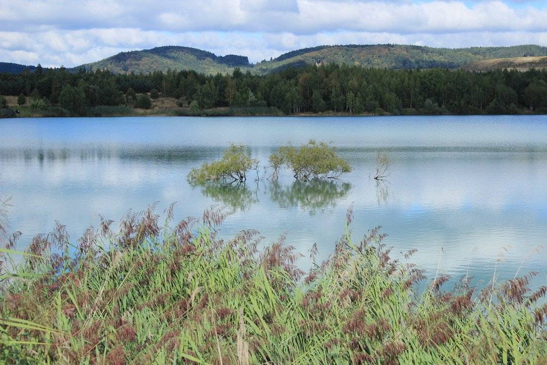CHODOV (15. 11. 2025) - Bílé vodě a Smolnické výsypce se dnes až do 14 hodin z bezpečnostních důvodů raději vyhněte! Probíhá tam plánovaný myslivecký hon, jehož výsledkem má být snížení počtu přemnožených divočáků, což pomůže větší bezpečnosti Chodováků a uchrání jejich majetek.