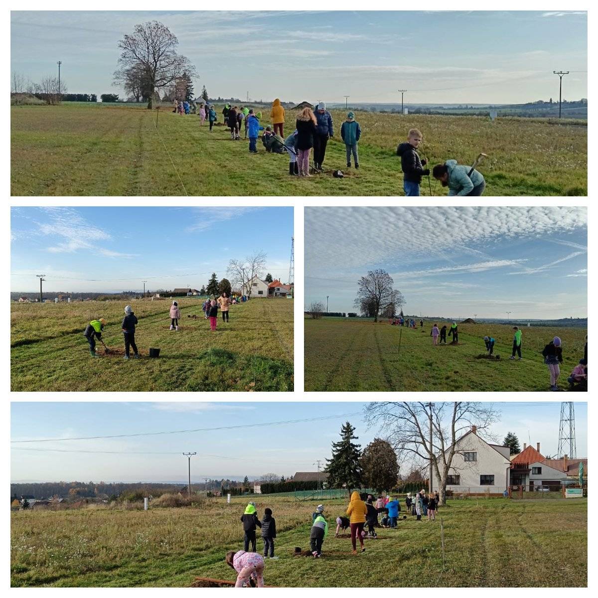 Minulý týden naše obec získala od MAS Dolní Pojizeří v rámci projektu Děti svému okolí 100 stromků, které nyní postupně nacházejí své místo v našem okolí. V pátek 14. 11. se do práce pustily děti 1. a 3. třídy ZŠ v Horním Slivně, které pomohly vysadit prvních 15 stromků za hřištěm, jako náhradu za v minulosti pokácené topoly. Děti se do práce pustily s obrovským nadšením a vše zvládly na jedničku! Moc děkujeme dětem i jejich pedagogům, kteří je k péči o přírodu tak krásně vedou🍁💚 Další část výsadby proběhla dnes 15. 11. na cestě k Lipce, kam se na základě pozvánky na společnou akci SÁZENÍ STROMKŮ sešli děti i dospělí. V dobré náladě a s chutí pomoci krajině společně vysázeli 30 nových ovocných stromků🍎🍒🍐 Děkujeme moc všem, kteří dorazili a přiložili ruku k dílu💚 Zbývajících 55 stromků bude během následujících dnů vysazeno na cestě na Zlato, kde obnoví alej a přispějí k dalšímu zazelenění naší obce. Věříme, že nové stromky budou krásně růst, přinášet radost celé obci a zkrášlovat naše společné okolí i pro budoucí generace🌳