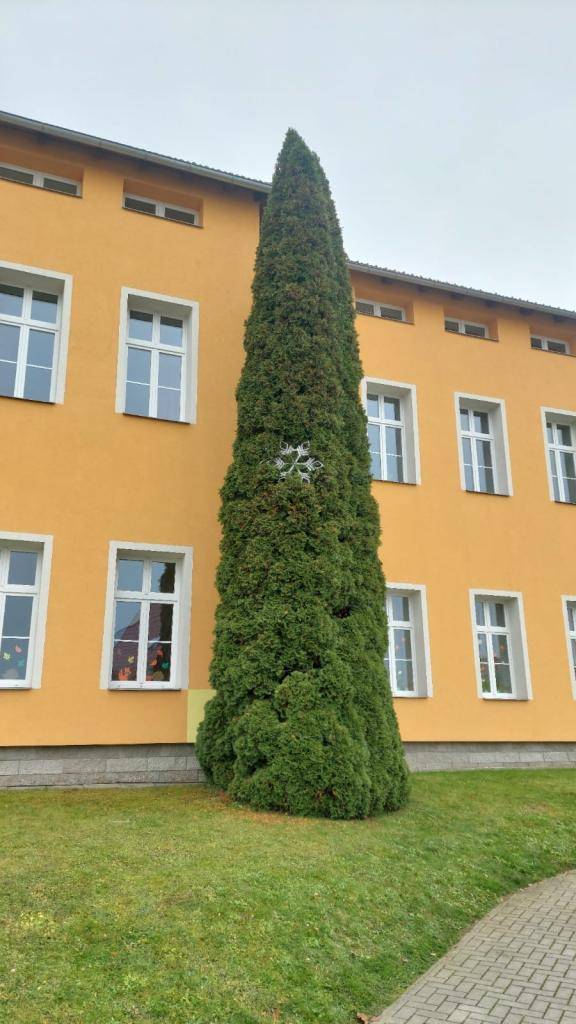 Vánoční stromeček je připravený k rozsvícení. Letos bude Česko zpívá koledy u Základní a Mateřské školy v Bělotíně.